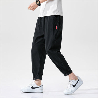 Pantalon Alvaro À Pinces