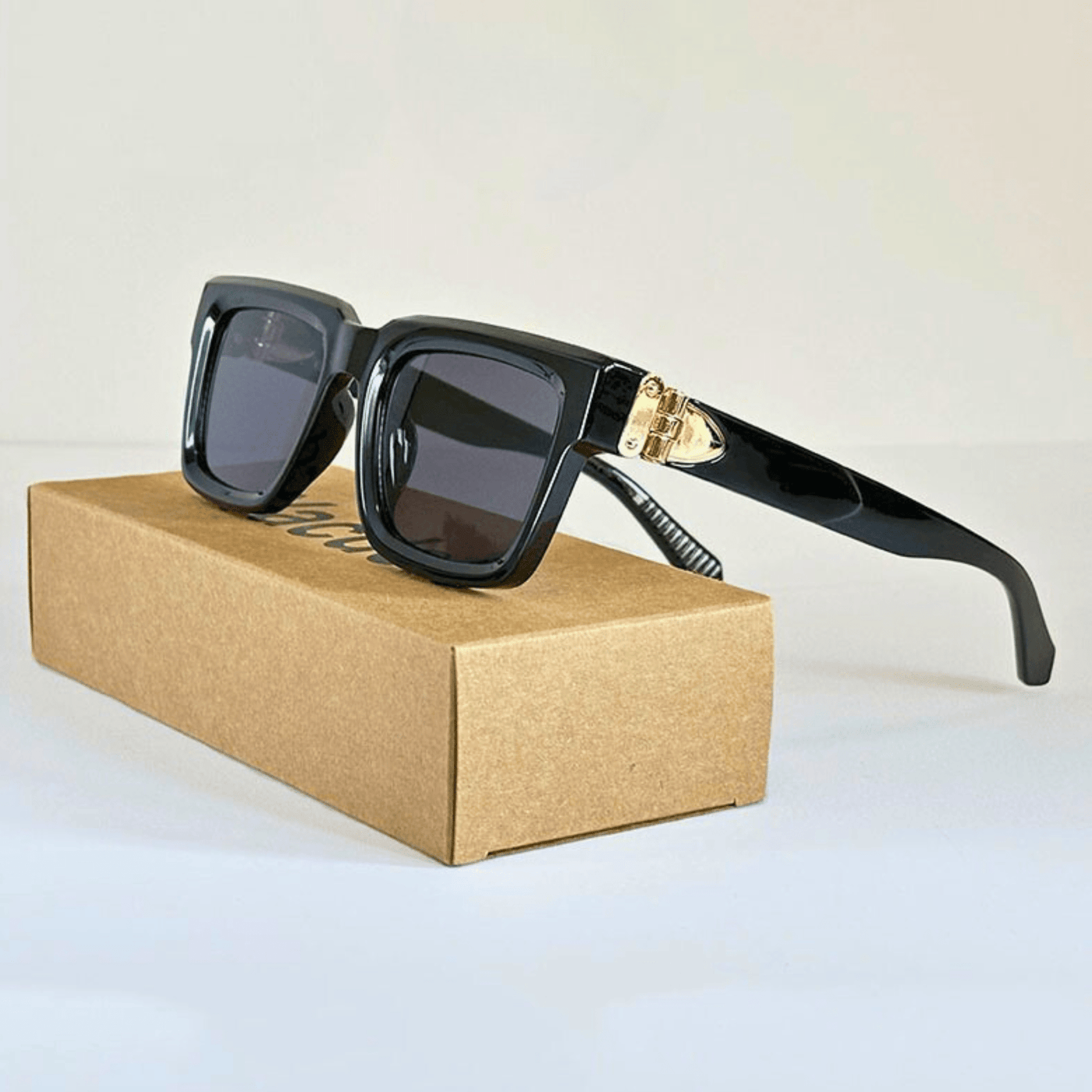 Lunettes De Soleil Label Noir